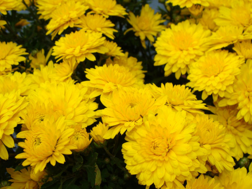 397952 (a): :1600x1200
